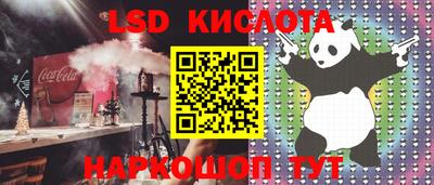 кокс Гатчина