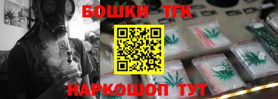 кокс Гатчина