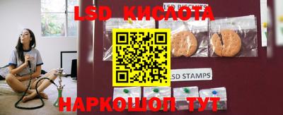 кокс Гатчина