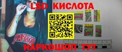кокс Гатчина