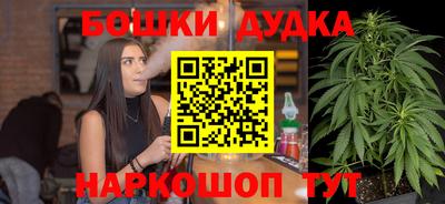 кокс Гатчина