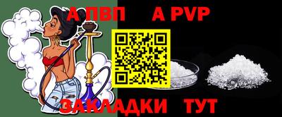 кокс Гатчина