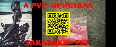 кокс Гатчина