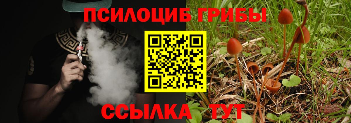 Галлюциногенные грибы Cubensis  Вход с VPN  наркота  Медногорск 